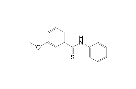 3-Methoxy-N-phenyl-benzenecarbothioamide