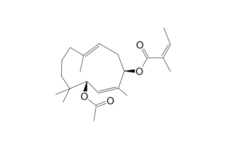 LYCIFERIN_B;3-ANGELOYL-6-ACETYLJUNIFEROL