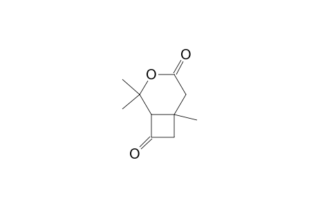 3-Oxabicyclo[4.2.0]octane-4,8-dione, 2,2,6-trimethyl-