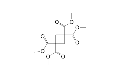1,1,3,3-cyclobutanetetracarboxylic acid, tetramethyl ester