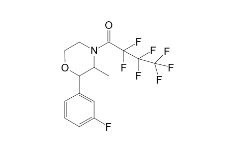 3-Fluoro-phenmetrazine HFB