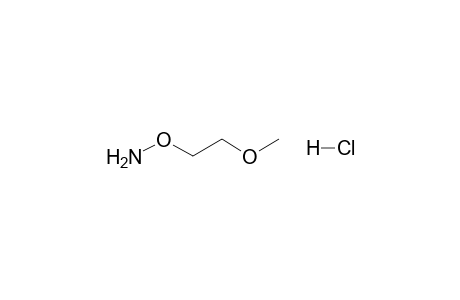 Hydroxylamine, o-(2-methoxyethyl)-, hydrochloride