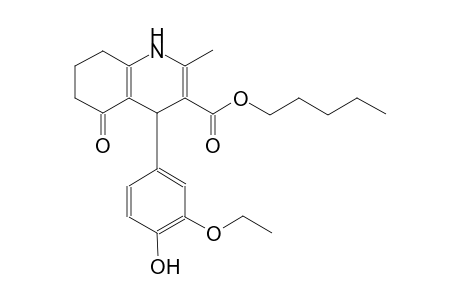 pentyl 4-(3-ethoxy-4-hydroxyphenyl)-2-methyl-5-oxo-1,4,5,6,7,8-hexahydro-3-quinolinecarboxylate