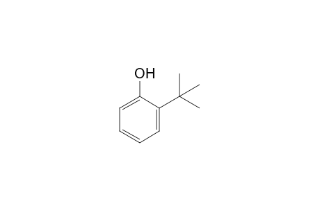 o-Tert-butylphenol