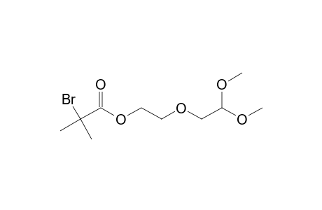2-BROMO-2-METHYL-PROPIONIC-ACID-2-(2,2-DIMETHOXY-ETHOXY)-ETHYLESTER