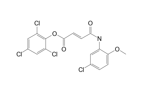 Fumaric acid, monoamide, N-(5-chloro-2-methoxyphenyl)-, 2,4,6-trichlorophenyl ester