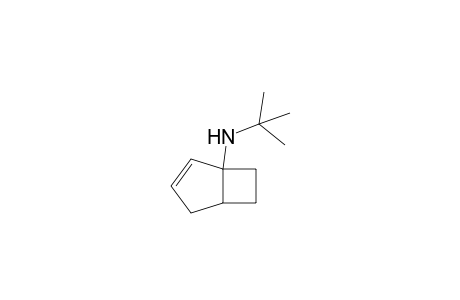 N-tert-Butylaminobicyclo[3.2.0]hept-2-ene