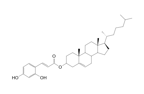 Cholesteryl - 2,4-Dihydroxycinnamate