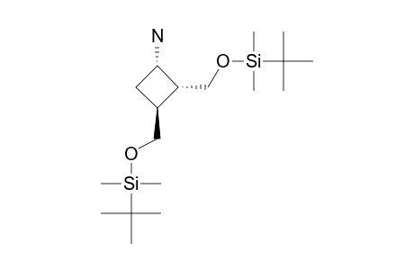 (1-alpha,2-alpha,3-beta)-2,3-BIS-(tert-BUTYL-DIMETHYLSILOXYMETHYL)-CYCLOBUTYLAMINE