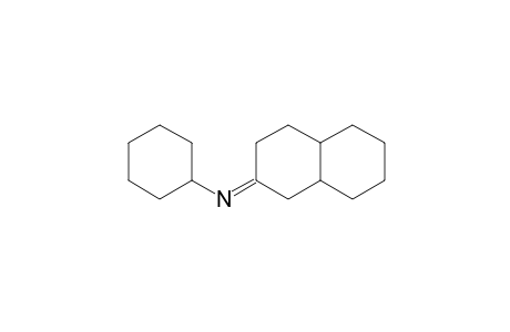 N-( Decahydro-2-naphthylidene)cyclohexylamine