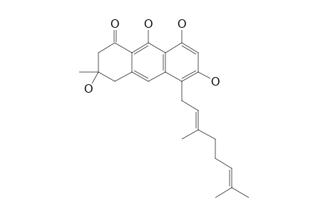 VISMIONE L