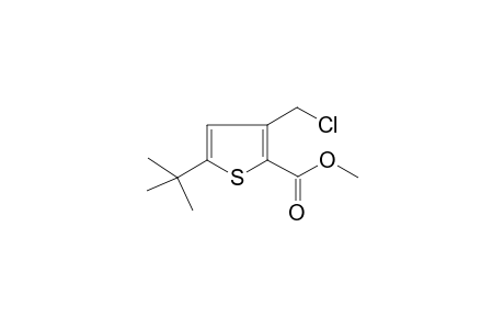 Methyl 5-tert-butyl-3-(chloromethyl)-2-thiophenecarboxylate