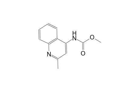 methyl 2-methyl-4-quinolinylcarbamate