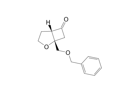1-(BENZYLOXYMETHYL)-2-OXABICYCLO-[3.2.0]-HEPTAN-6-ONE