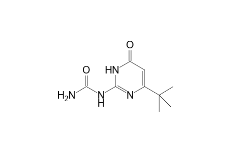 6-tert-Butyl-2-ureido-4(3H)-pyrimidine