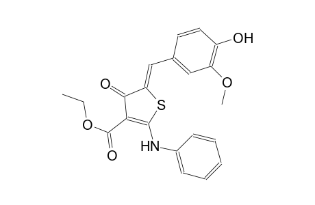 ethyl (5Z)-2-anilino-5-(4-hydroxy-3-methoxybenzylidene)-4-oxo-4,5-dihydro-3-thiophenecarboxylate