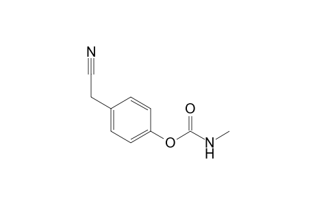 Acetonitrile, (p-hydroxyphenyl)-, methyl-carbamate (ester