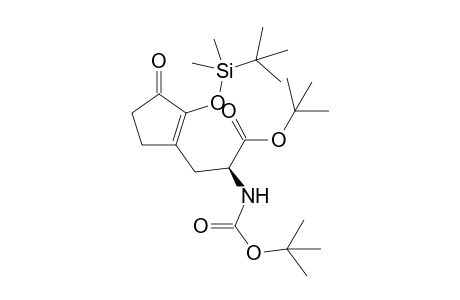 (S)-2-tert-Butoxycarbonylamino-3-[2-(tert-butyl-dimethyl-silanyloxy)-3-oxo-cyclopent-1-enyl]-propionic acid tert-butyl ester