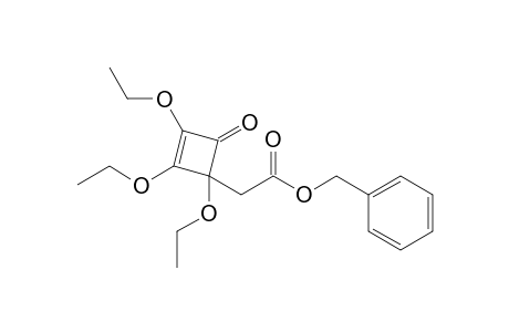 (phenylmethyl) 2-(1,2,3-triethoxy-4-oxidanylidene-cyclobut-2-en-1-yl)ethanoate
