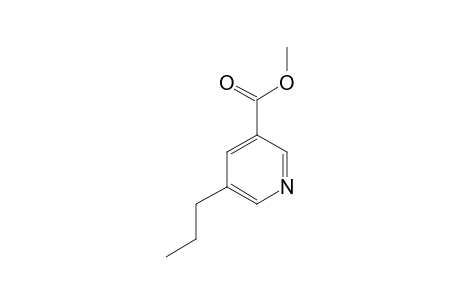 5-Propyl-nikotinsaeuremethylester