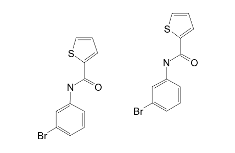N-(3-BROMOPHENYL)-2-THIENAMIDE