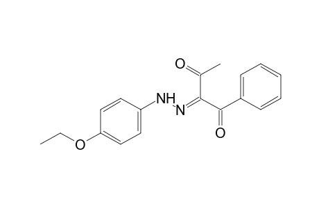 1-phenyl-1,2,3-butanetrione, 2-(p-ethoxyphenyl)hydrazone