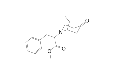 (S)-N-(1-Carbomethoxy-2-phenyl-ethyl)nortropinone