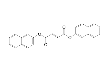 Fumaric acid, di(naphth-2-yl) ester