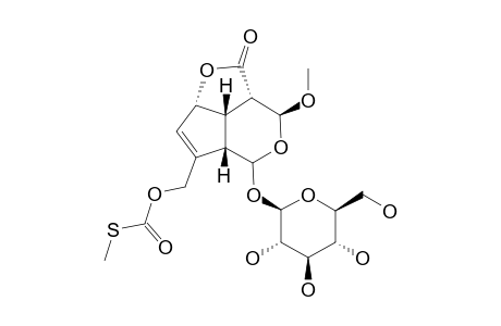 3,4-DIHYDRO-3-METHOXYPAEDEROSIDE