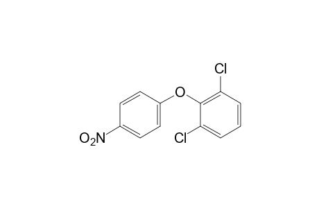 2,6-dichlorophenyl p-nitrophenyl ether