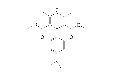 3,5-pyridinedicarboxylic acid, 4-[4-(1,1-dimethylethyl)phenyl]-1,4-dihydro-2,6-dimethyl-, dimethyl ester