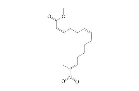 METHYL-(2Z,6Z,12E)-13-NITROTETRADECA-2,6,12-TRIENOATE