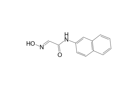 (2E)-2-(Hydroxyimino)-N-(2-naphthyl)ethanamide