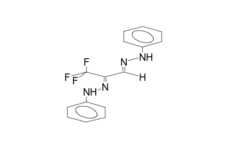 TRIFLUOROMETHYLGLYOXAL, BIS(PHENYLHYDRAZONE)