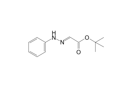 glyoxylic acid, tert-butyl ester, phenylhydrazone