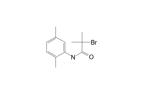 Isobutyric amide, 2-bromo-N-[2,5-dimethylphenyl]-