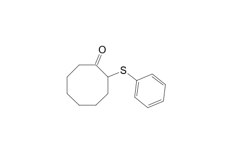 2-(Phenylsulfanyl)cyclooctanone