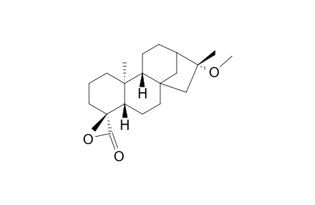 16.alpha.-Methoxy-(ent)-Kauran-19-oic Acid