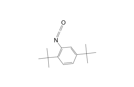 2,5-Di-tert-butylphenyl isocyanate