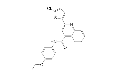2-(5-chloro-2-thienyl)-N-(4-ethoxyphenyl)-4-quinolinecarboxamide