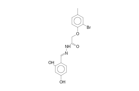 2-(2-Bromo-4-methylphenoxy)-N'-[(E)-(2,4-dihydroxyphenyl)methylidene]acetohydrazide