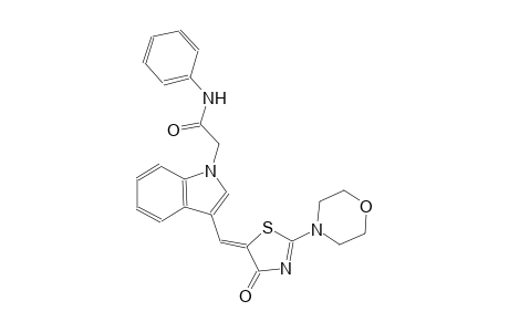 2-{3-[(Z)-(2-(4-morpholinyl)-4-oxo-1,3-thiazol-5(4H)-ylidene)methyl]-1H-indol-1-yl}-N-phenylacetamide