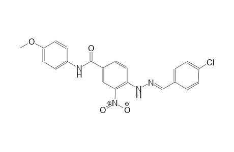 4-[(2E)-2-(4-chlorobenzylidene)hydrazino]-N-(4-methoxyphenyl)-3-nitrobenzamide