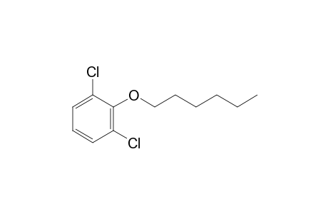 2,6-Dichlorophenyl hexyl ether