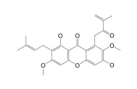 1,6-DIHYDROXY-3,7-DIMETHOXY-2-(3-METHYLBUT-2-ENYL)-8-(2-OXO-3-METHYLBUT-3-ENYL)-XANTHONE
