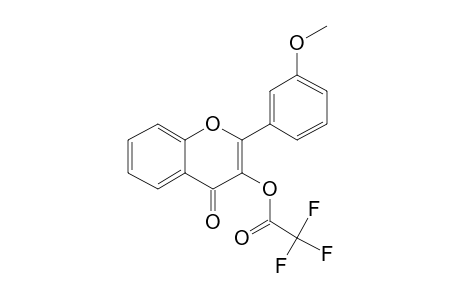 3-Hydroxy-3'-methoxyflavone, trifluoroacetate