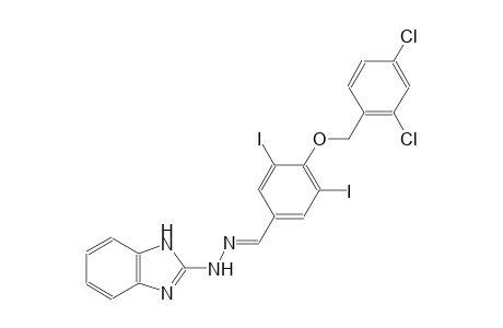 4-[(2,4-dichlorobenzyl)oxy]-3,5-diiodobenzaldehyde 1H-benzimidazol-2-ylhydrazone