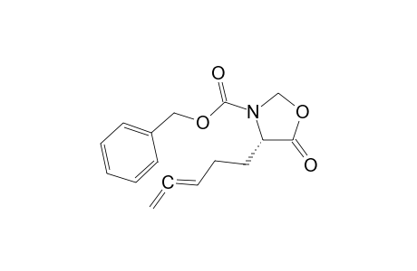 (4S)-5-keto-4-penta-3,4-dienyl-oxazolidine-3-carboxylic acid benzyl ester