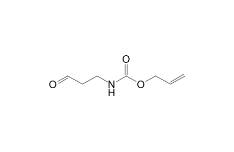 N-(3-ketopropyl)carbamic acid allyl ester