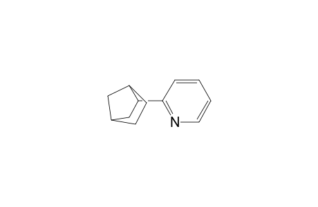 2-(2-Norbornyl)pyridine